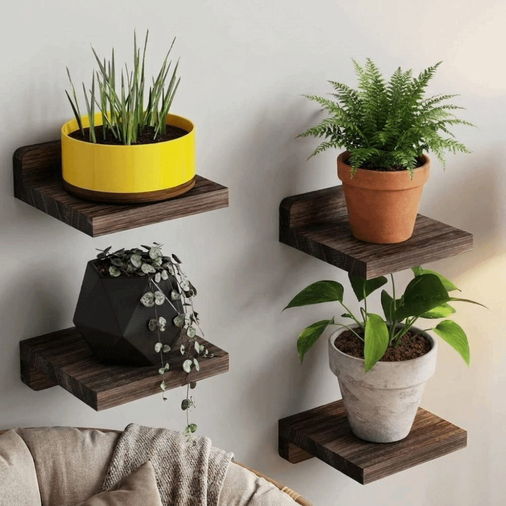 4PCS Wood Small Floating Shelv - Floating Shelves 评论和价格