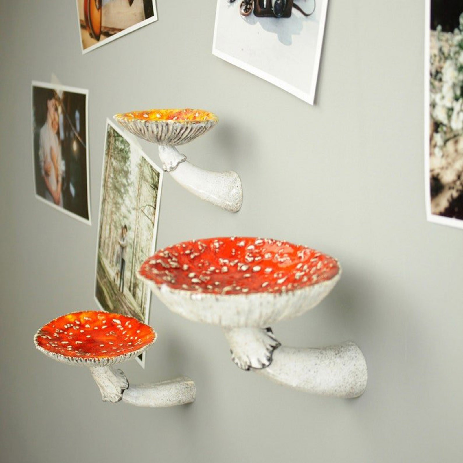2024 Creative Resin Mushroom-H - Floating Shelves 评论和价格