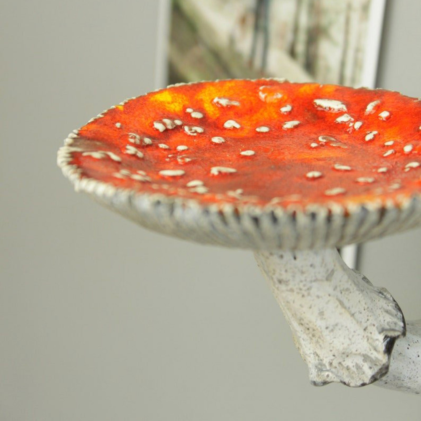 2024 Creative Resin Mushroom-H - Floating Shelves 评论和价格