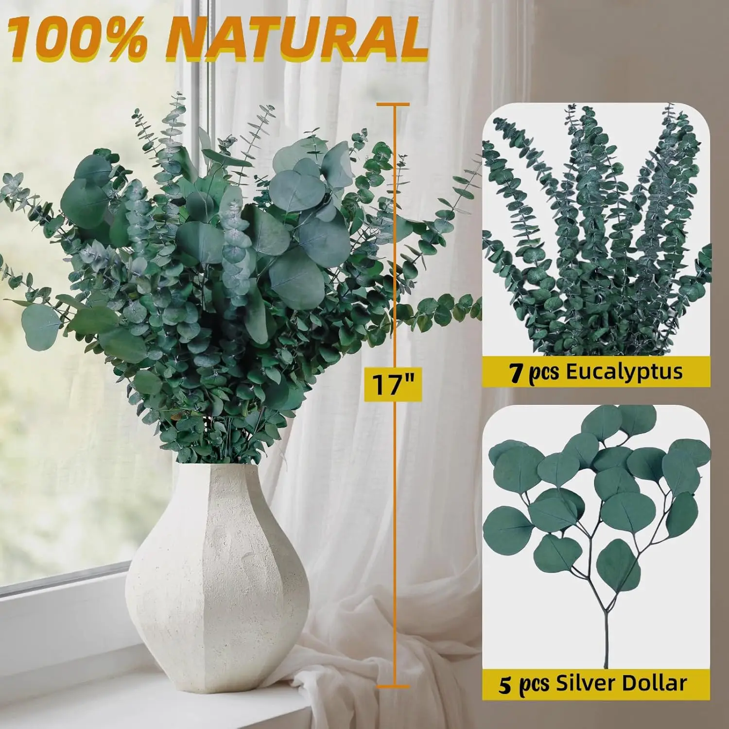 12 Pcs Large Dried Eucalyptus  - Home Decor Garland 评论和价格