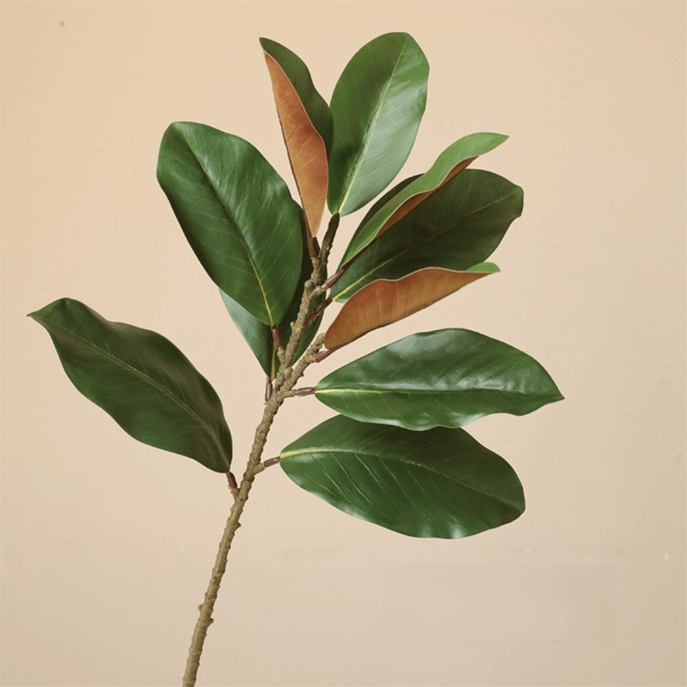 57cm Artificial Magnolia Leave - Artificial Hanging Plants 评论和价格
