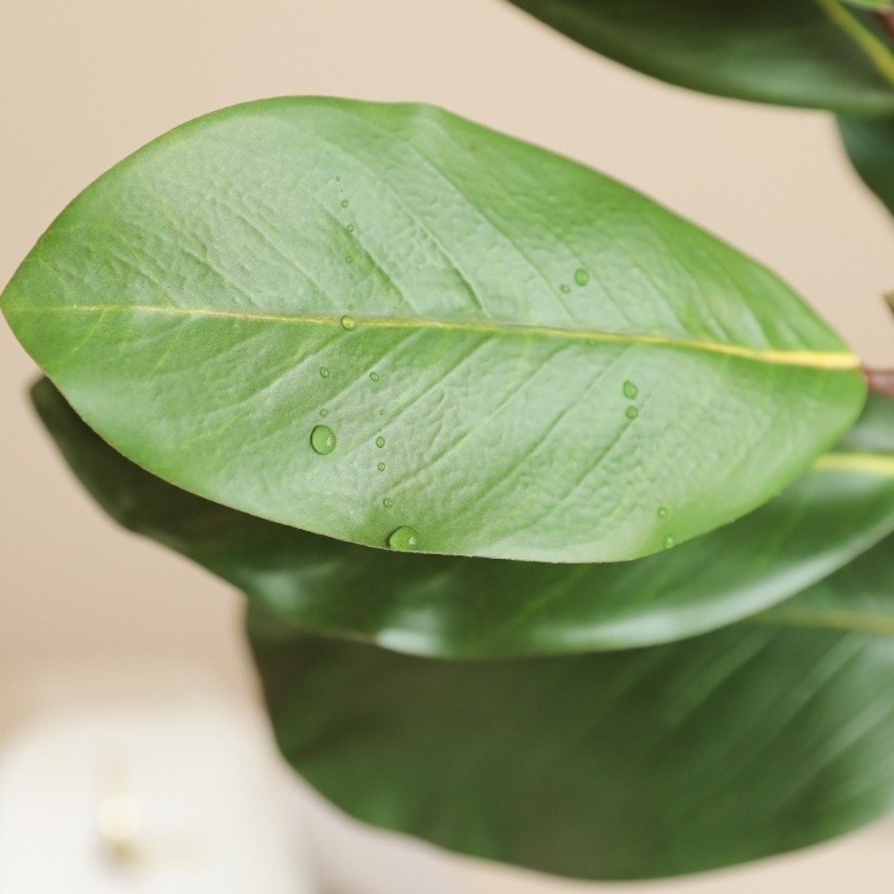 57cm Artificial Magnolia Leave - Artificial Hanging Plants 评论和价格