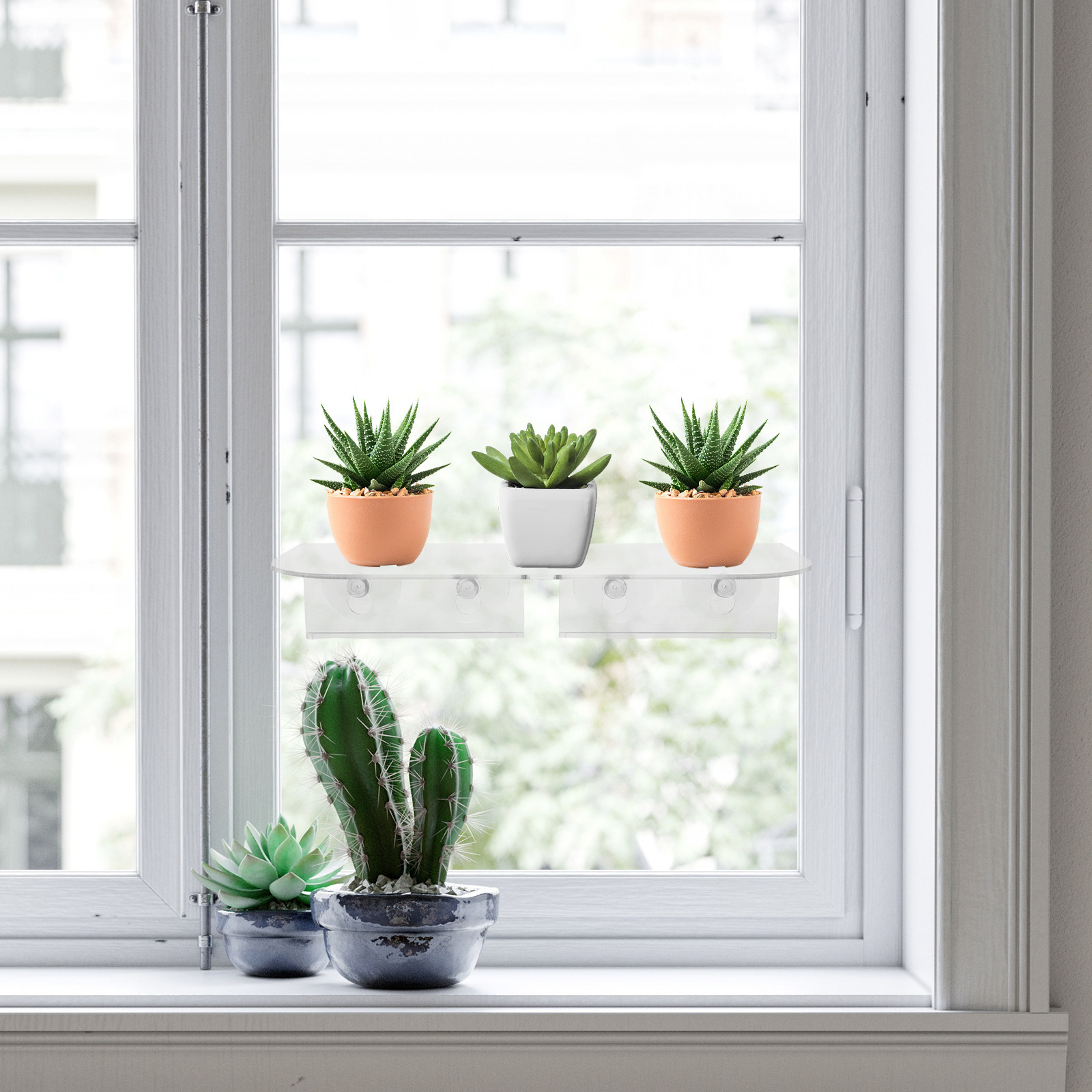 Window Plant Shelf Suction Cup - Floating Shelves 评论和价格