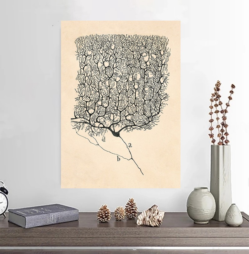 Santiago Ramon Y Cajal Neuron  - Watercolor Poster Print 评论和价格