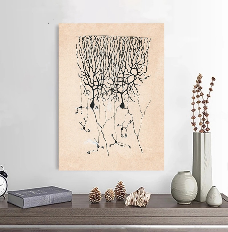 Santiago Ramon Y Cajal Neuron  - Watercolor Poster Print 评论和价格